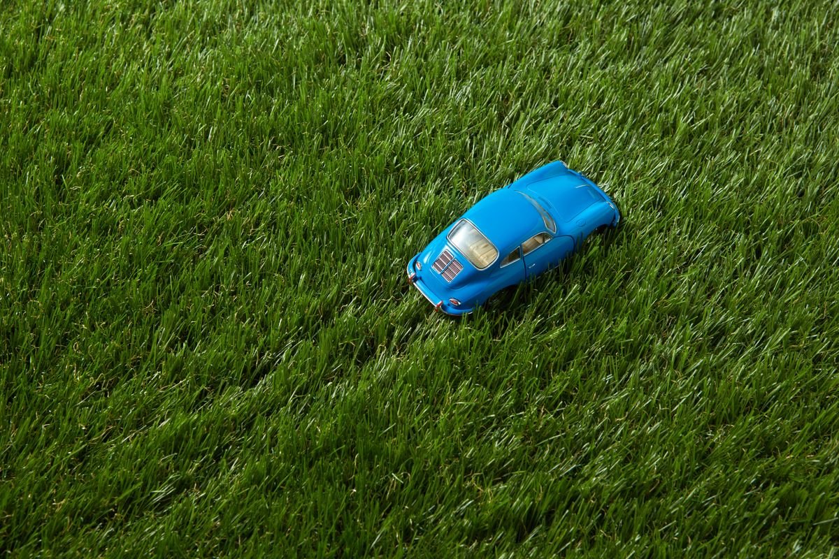 Artificial Grass