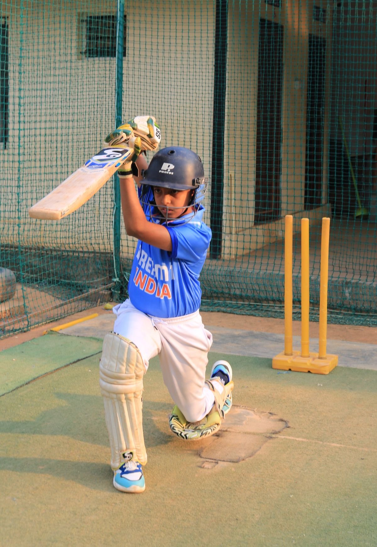 Box Cricket Nets