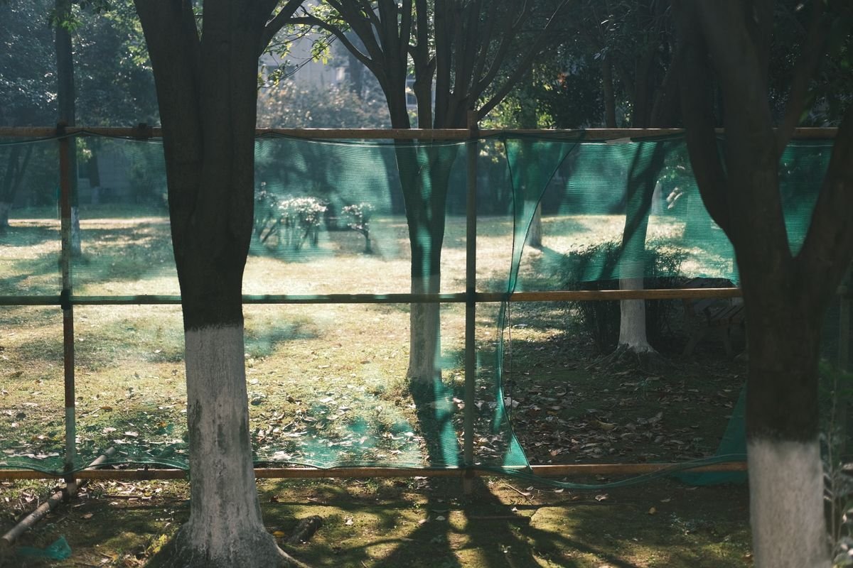 Shade Nets